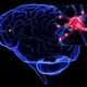 Image for article titled How exactly do neurons pass signals through your nervous system?